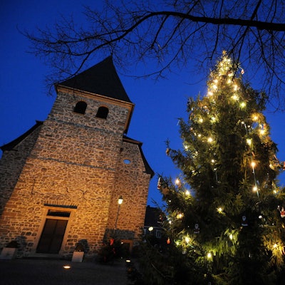 wu-witzhelden-baum_(3)