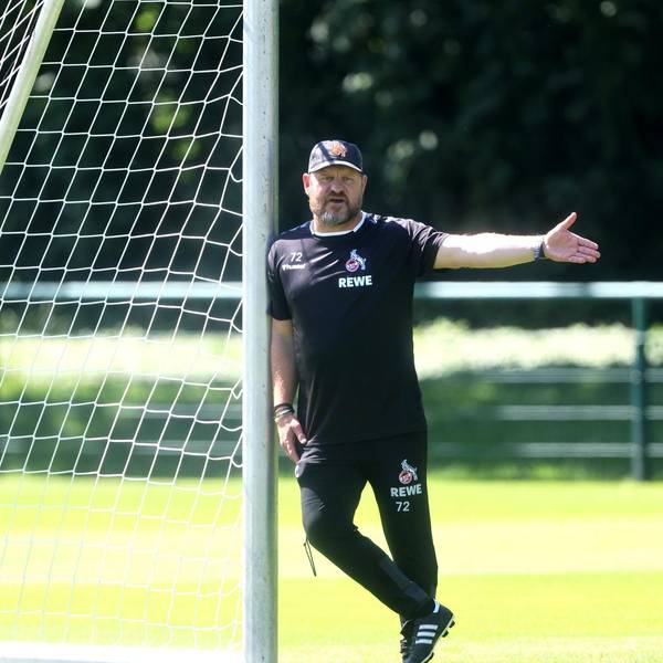 Steffen Baumgart Bucco neu