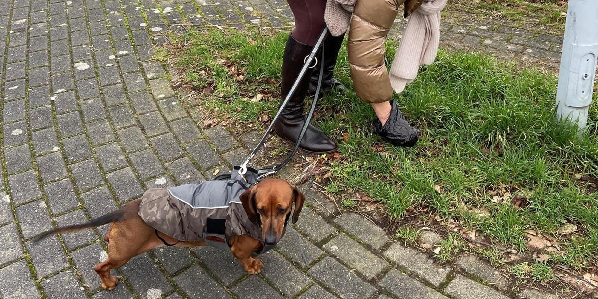 Hundehalter