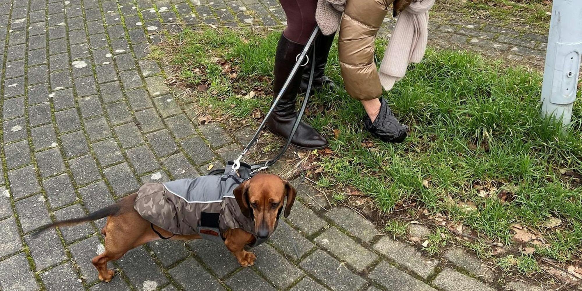Hundehalter
