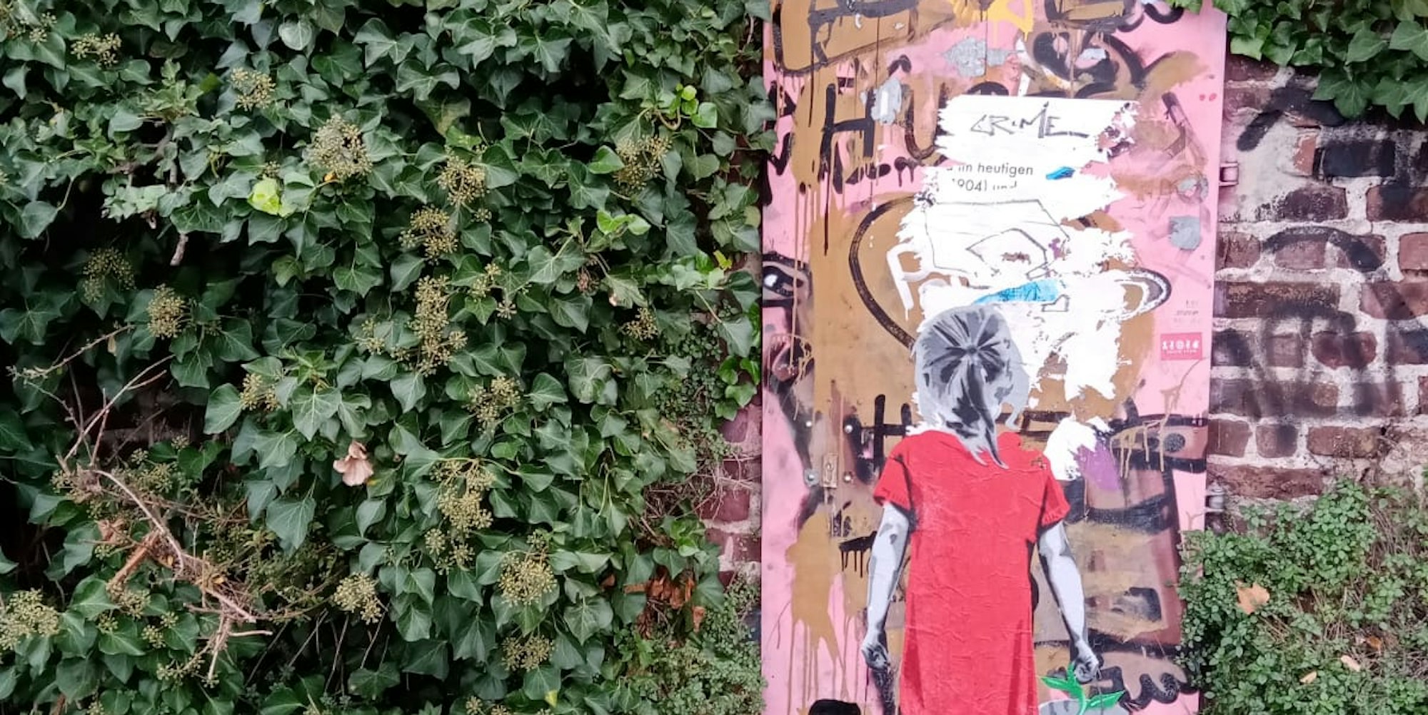 IMG-20201215-WA0001 (1)