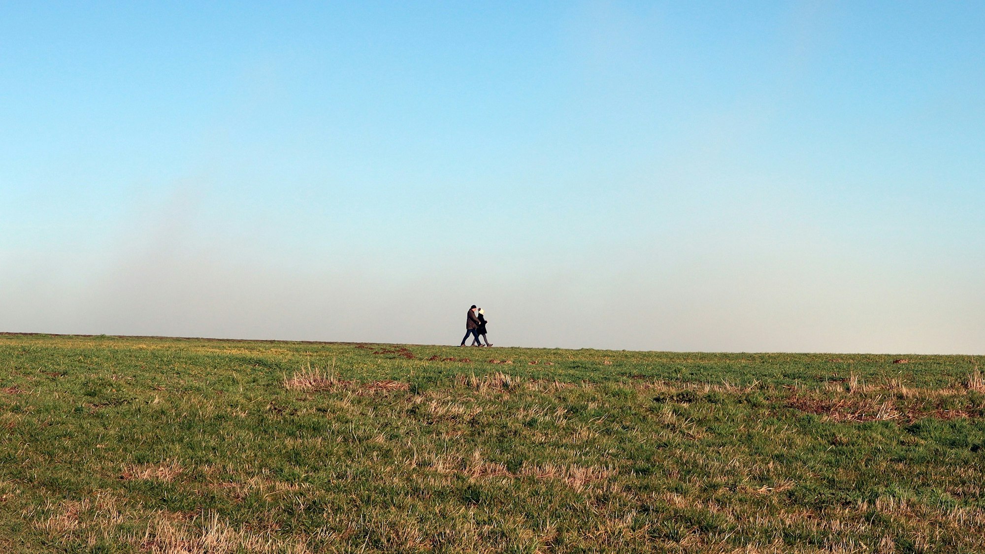 Wanderung Polch Traumpfädchen Felder