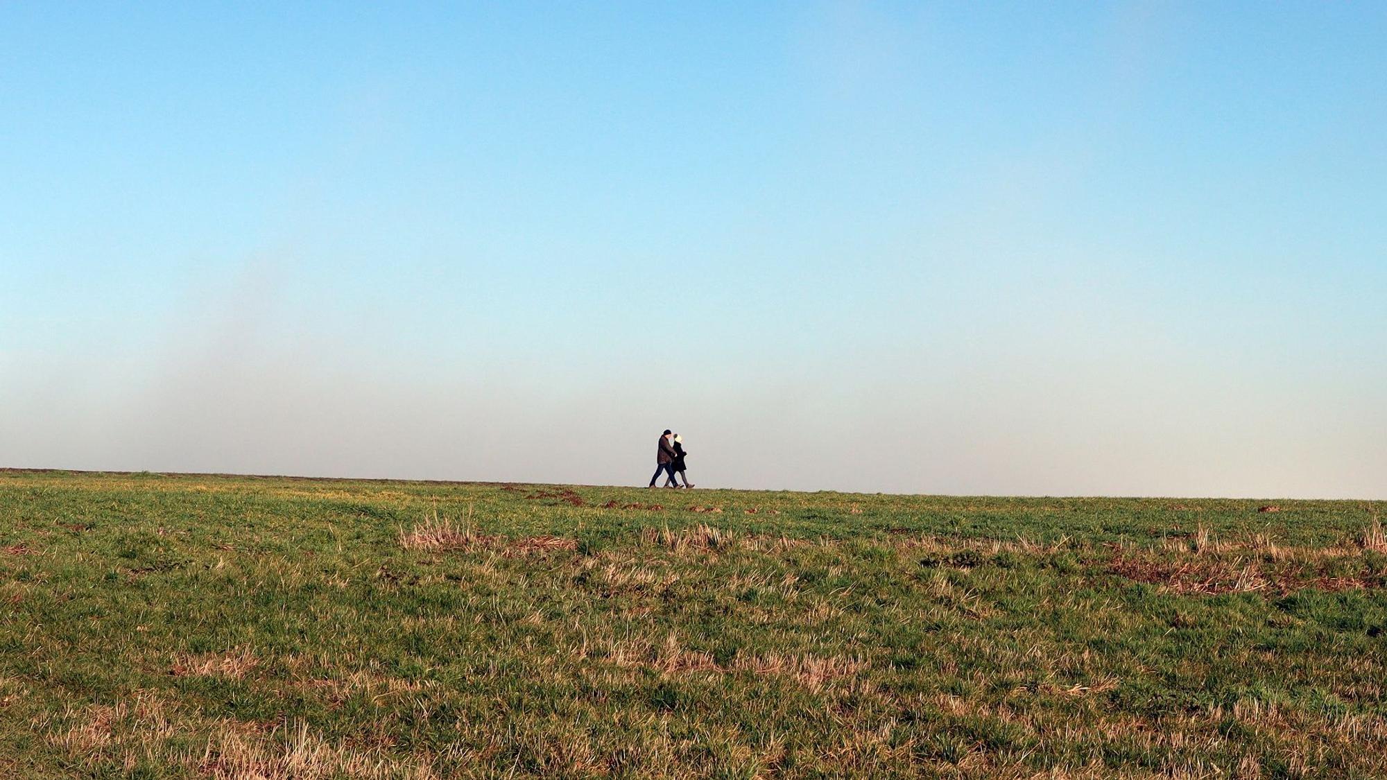 Wanderung Polch Traumpfädchen Felder