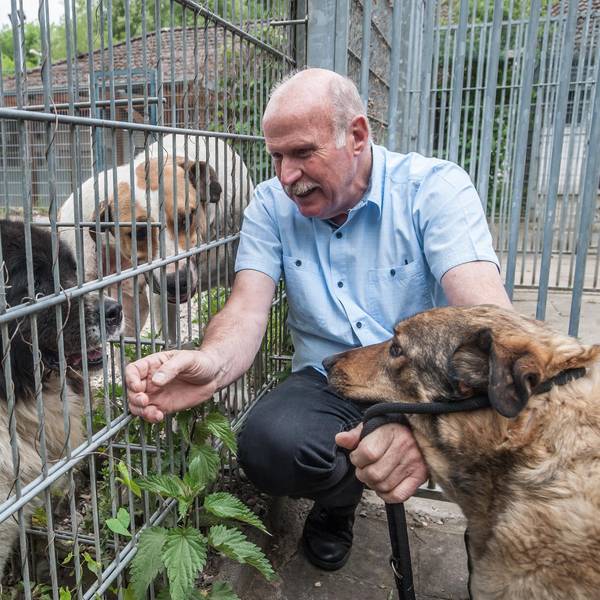 leverkusen-hunde--ALF_1138