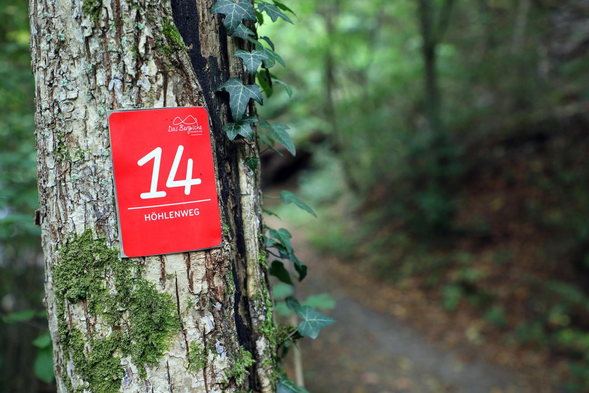 Hoehlenweg_9841