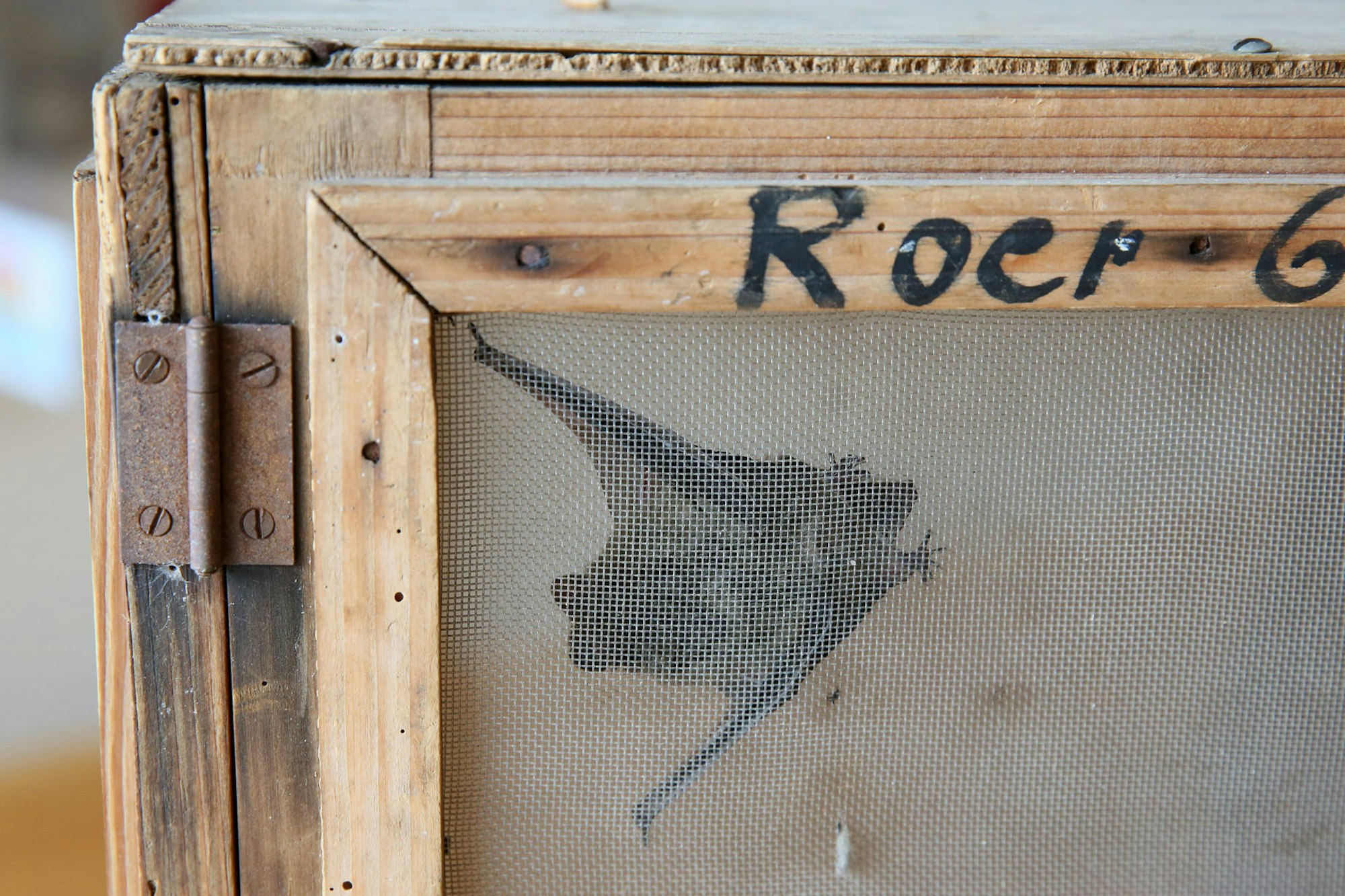 05042017_Fledermaus_12 Martina Goyert Auffangstation Frau Roer