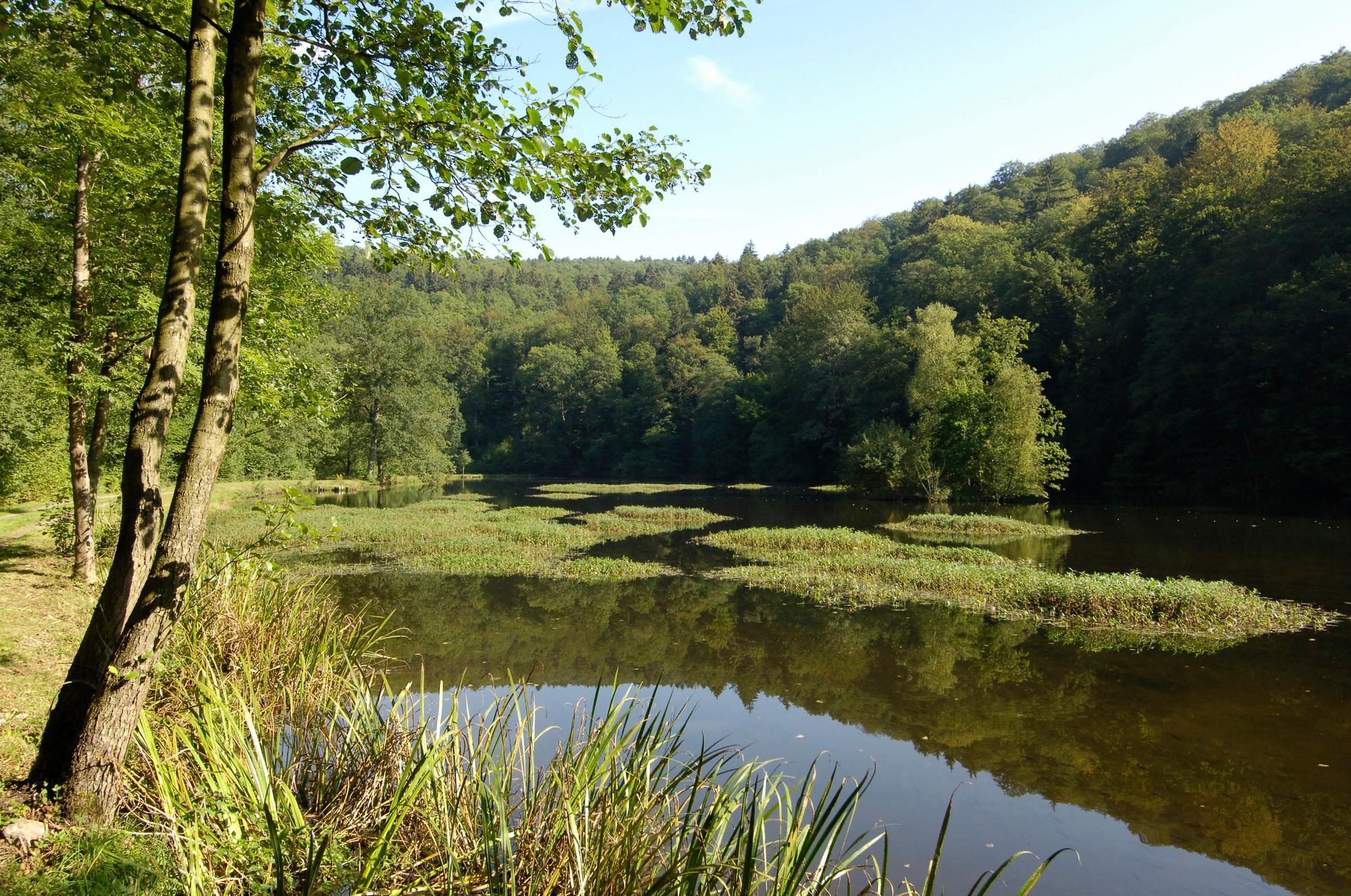 Urlaub ums Eck - Kurztips - ardennen 21316