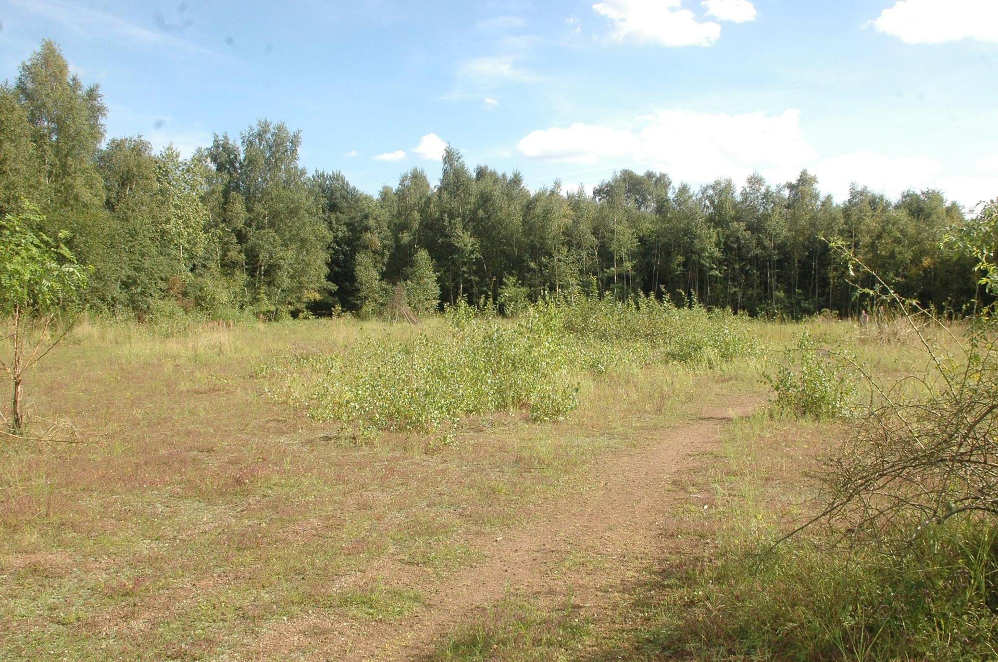 dellbrücker heide