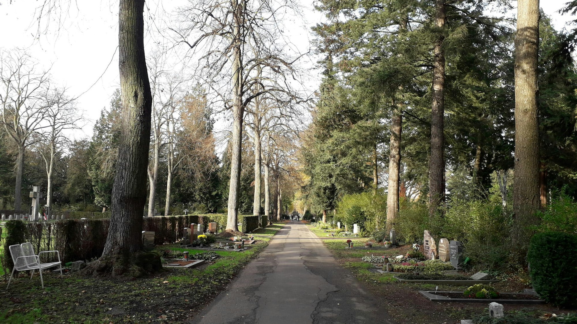 Neuer Deutzer Friedhof in Köln
