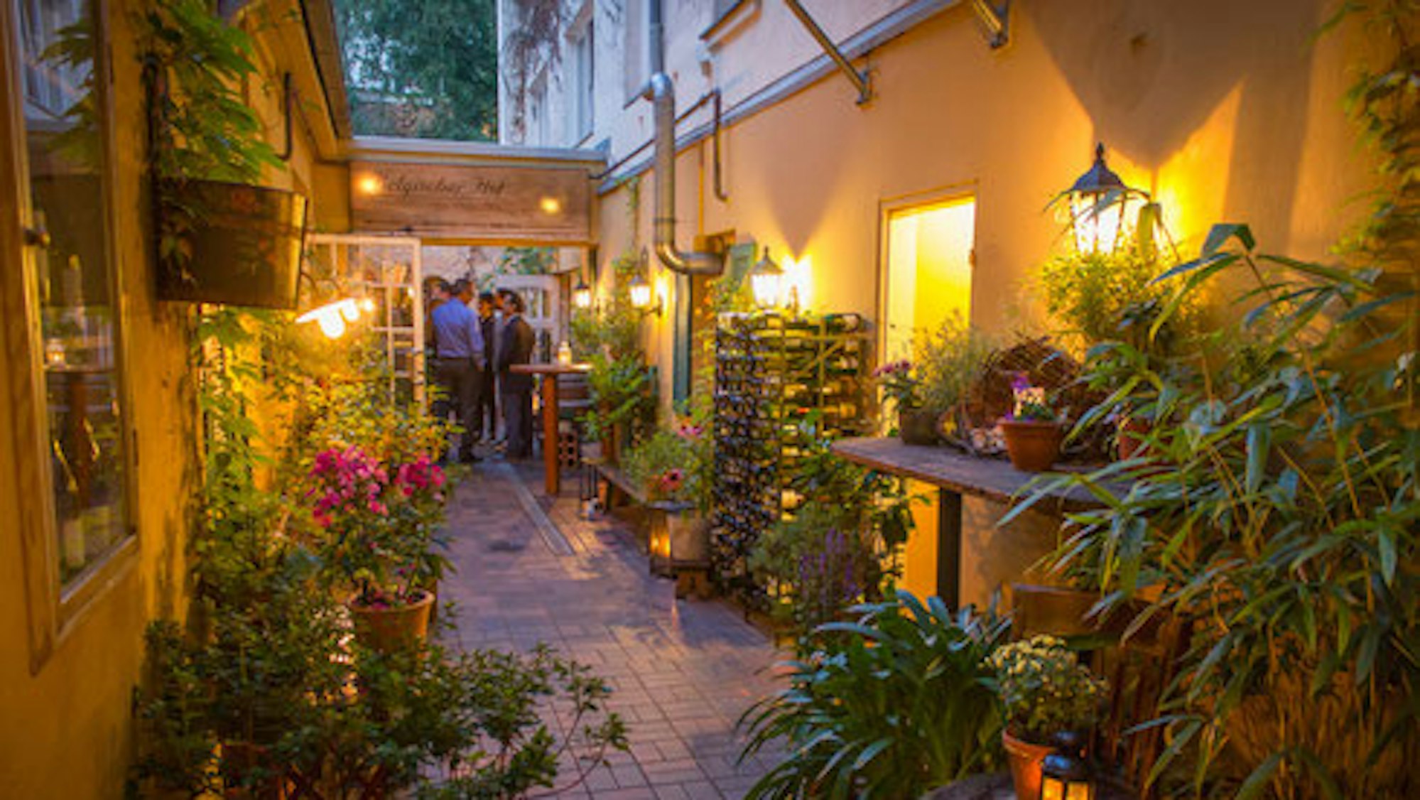 Der sehr begrünte und mit Pflanzen ausgestattete Innenhof des „Belgischen Hofes“ in Köln.