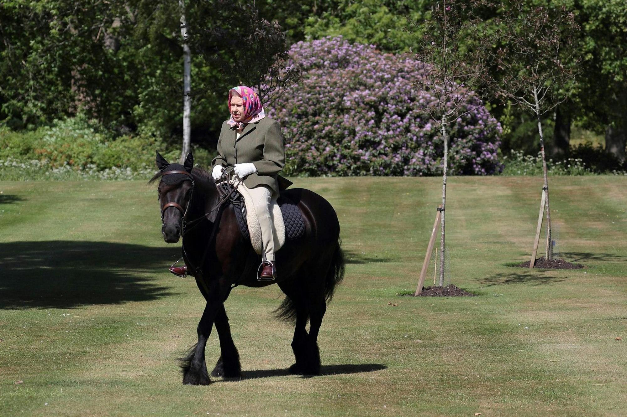 Queen auf Pferd 2009