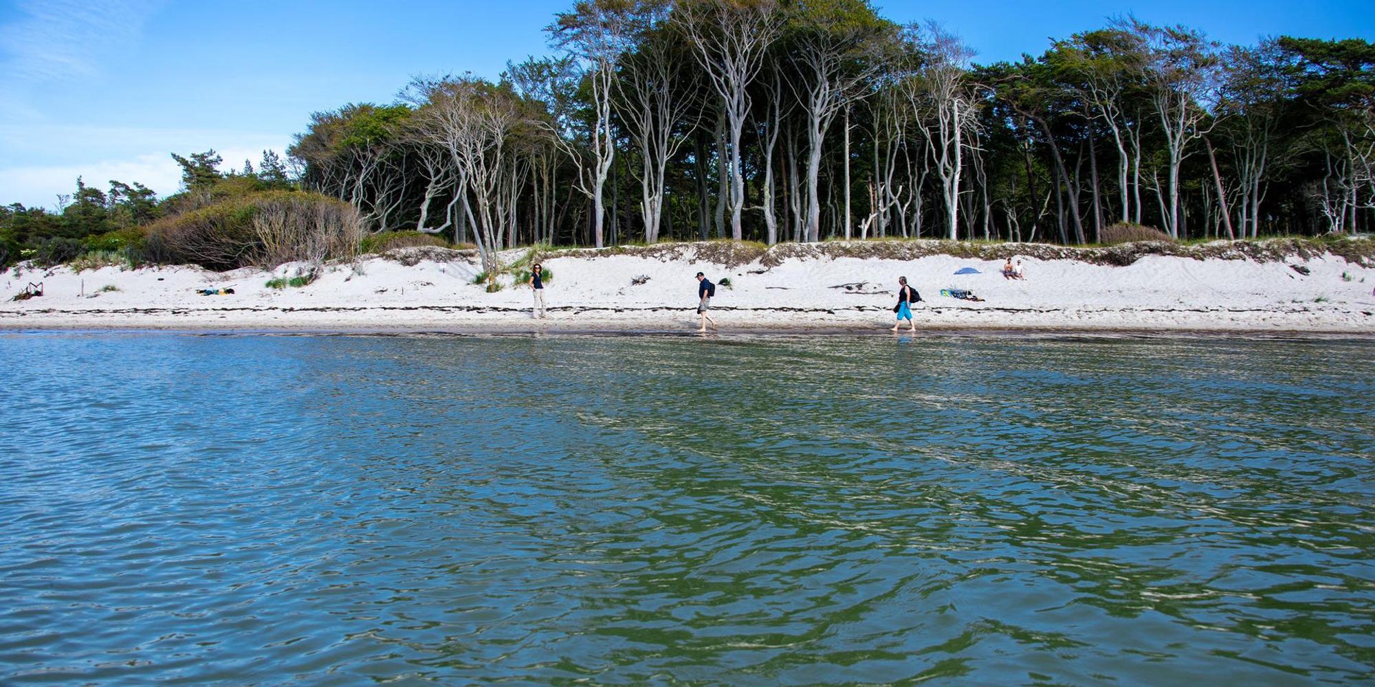 Fischland-Darß-Zingst