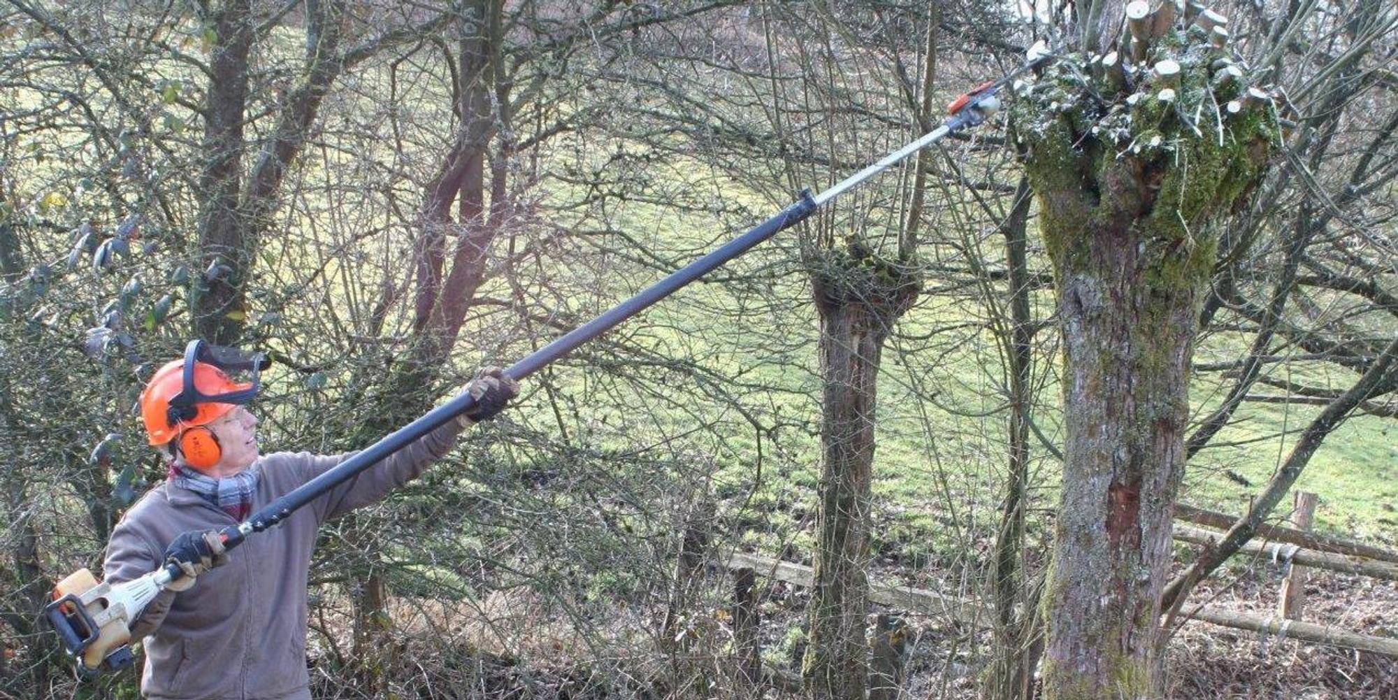 Naturschutz Ruppichteroth Kopfweiden