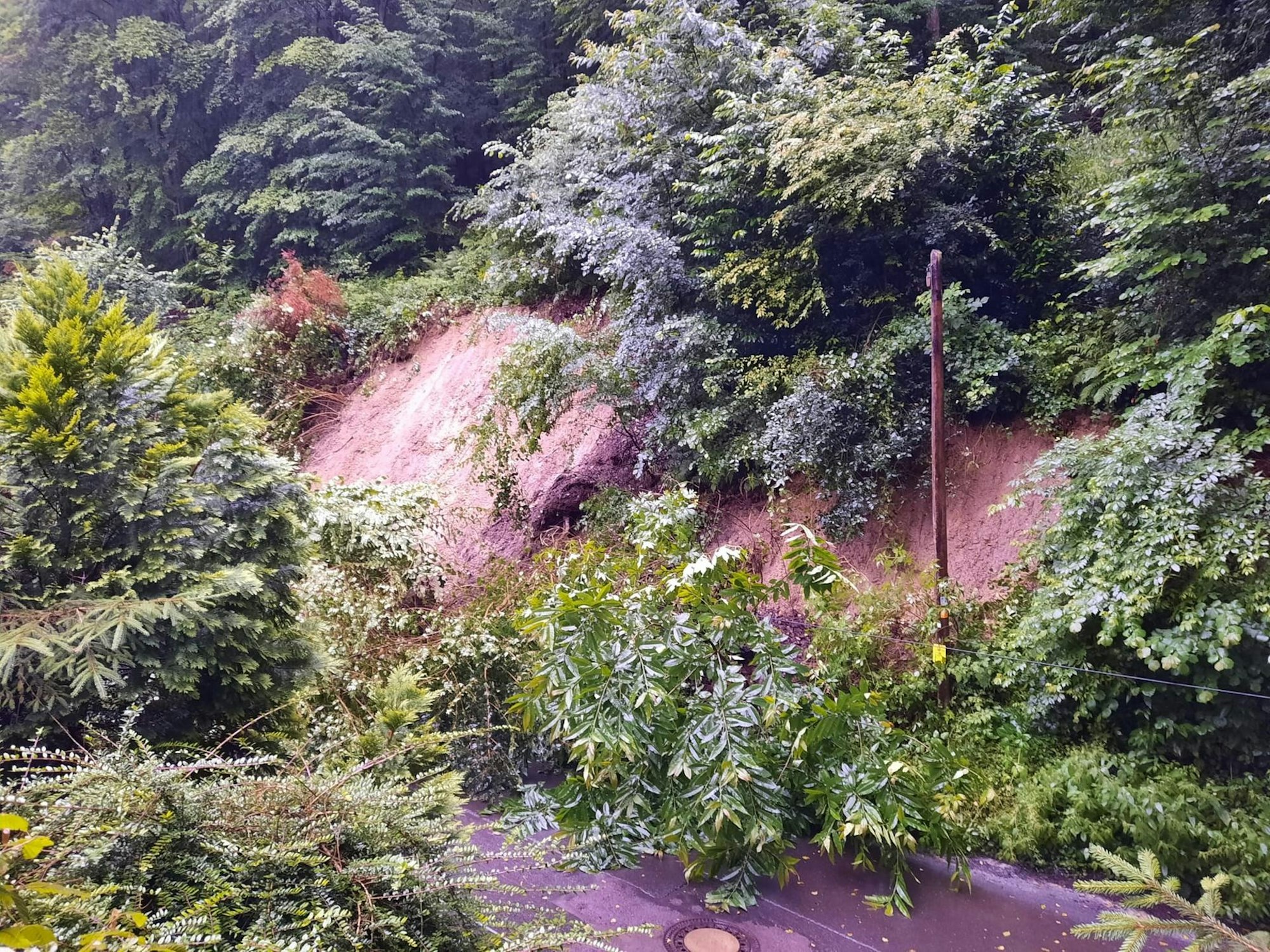 Hang_rutscht_Bad_Honnef