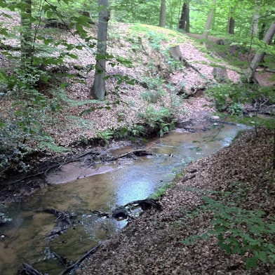 MDS-KSTA-2015-05-05-71-82416546