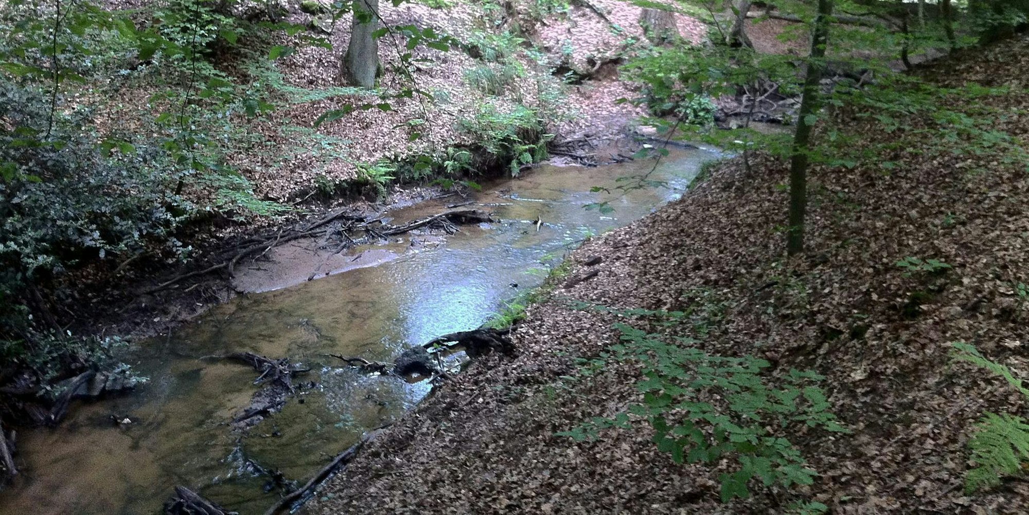 MDS-KSTA-2015-05-05-71-82416546