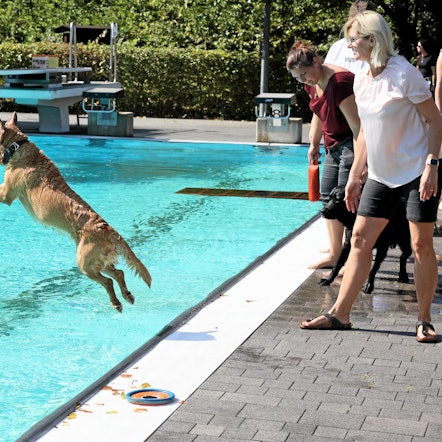 20220904_MW_LevDog 04_1