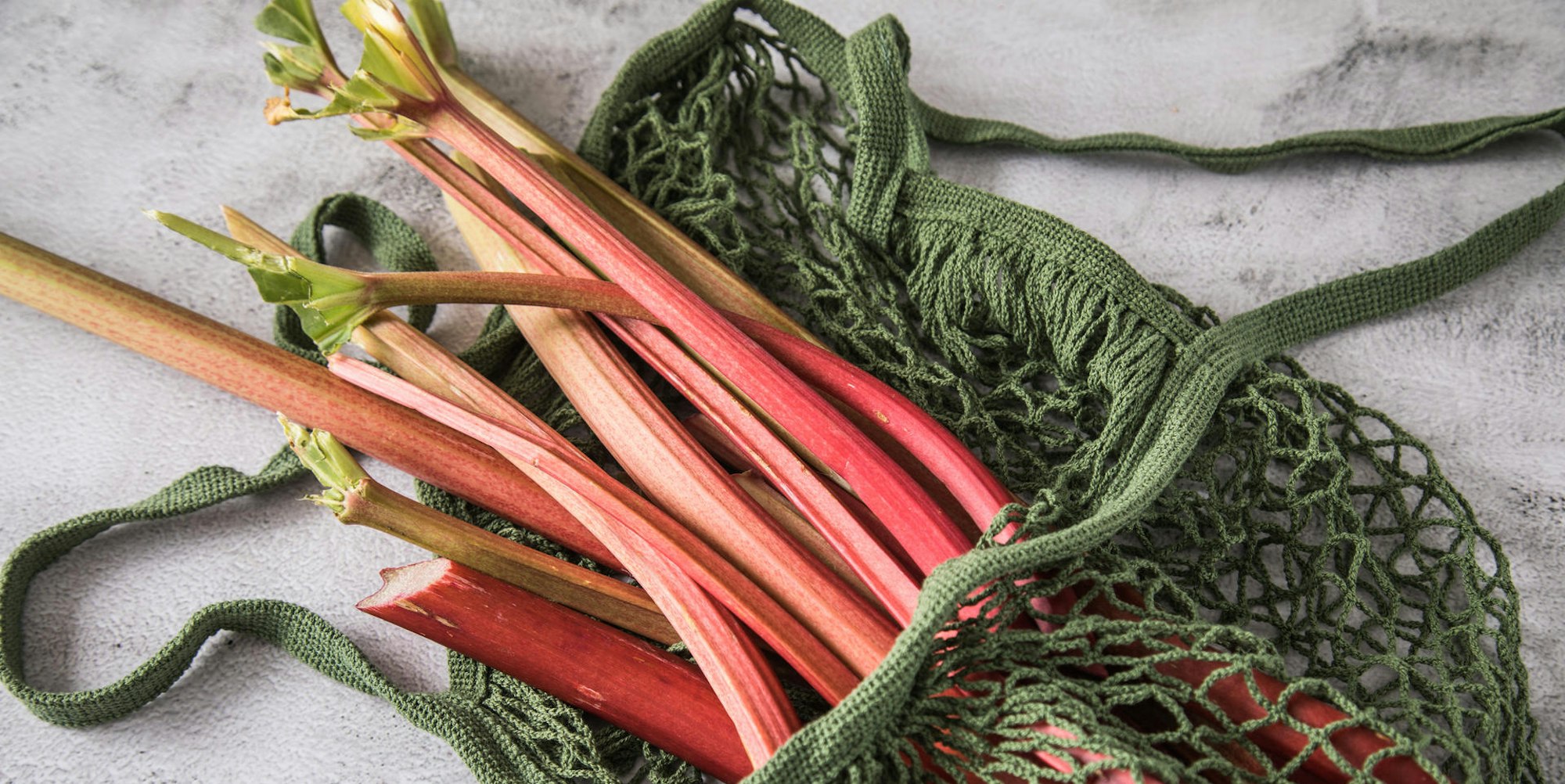 rhabarber im netz (1)
