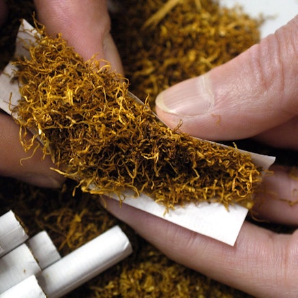 Raucher dreht sich eine Zigarette