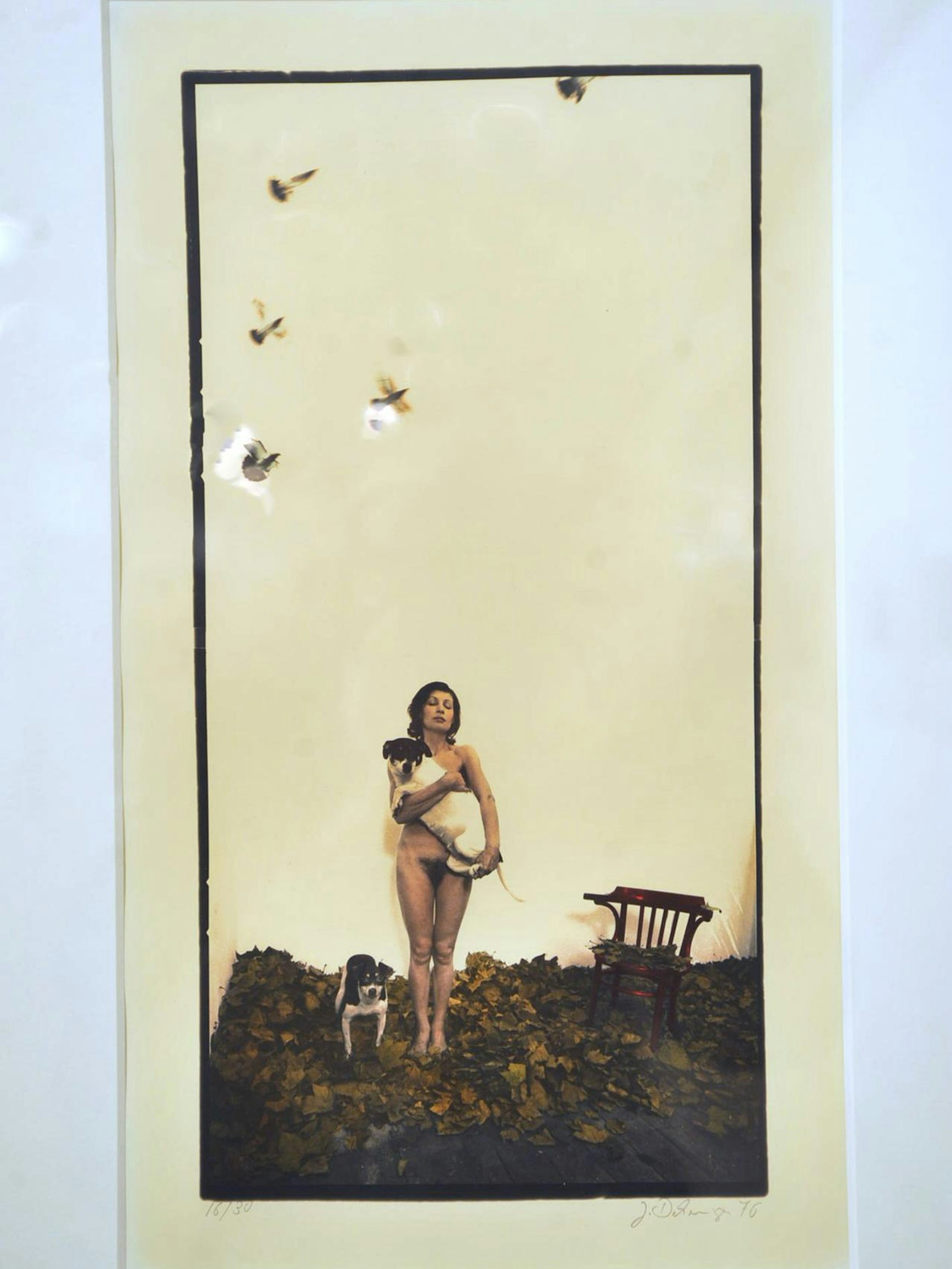 Bayer-Kunstauktion (1)