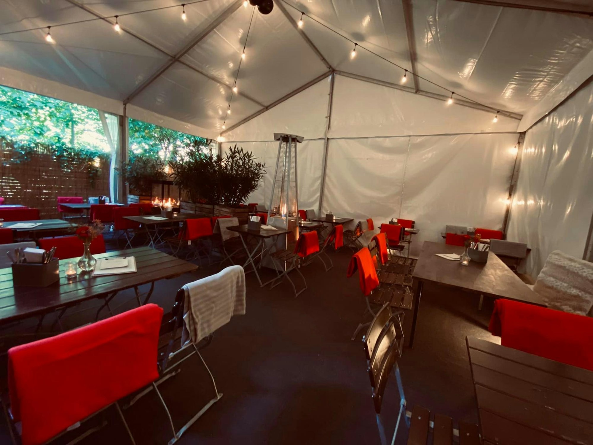 243127582_4985115454851072_5520396858742641593_n