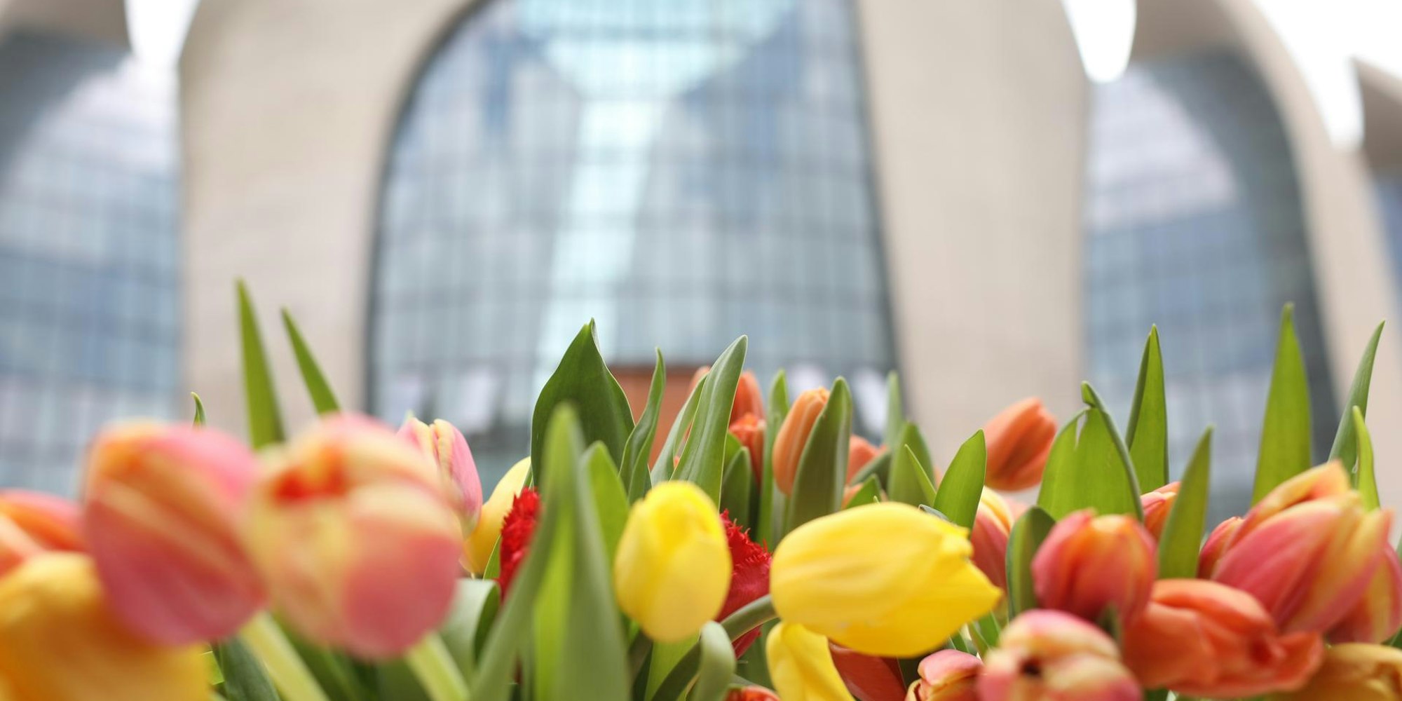 Tulpen-Festival