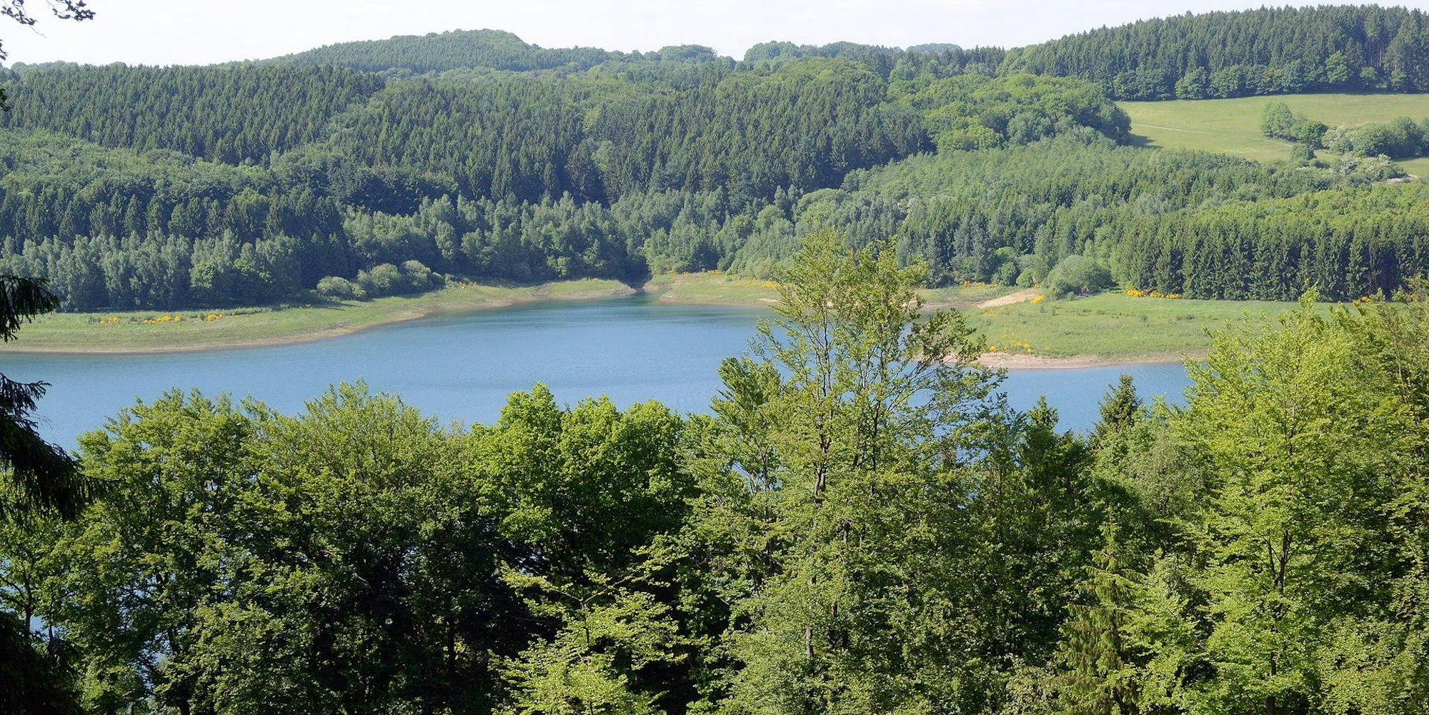 40-Rhein-Berg_Luhr_140