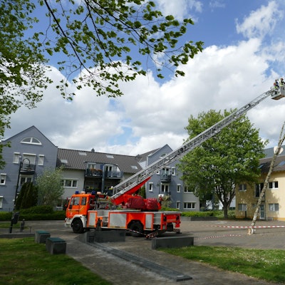 Maibaum Spich 1