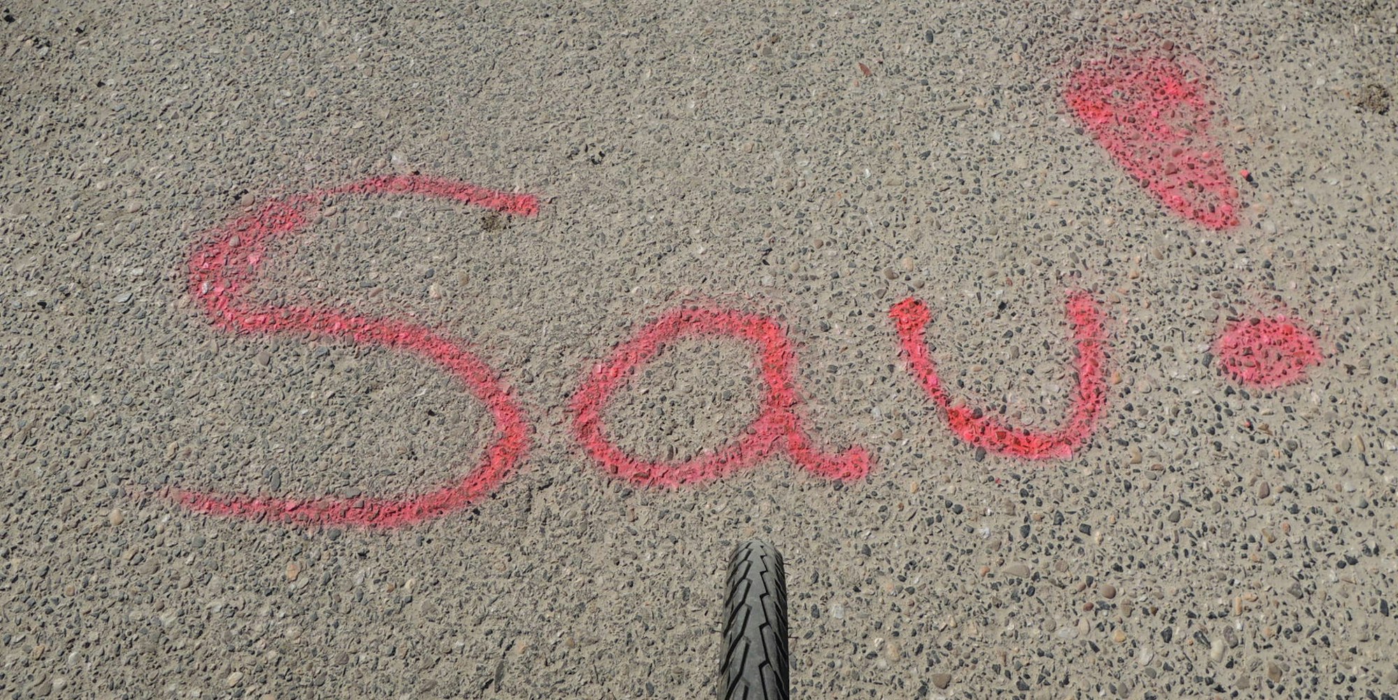 20220304-ker-rj-farbige-hundehaufen-03