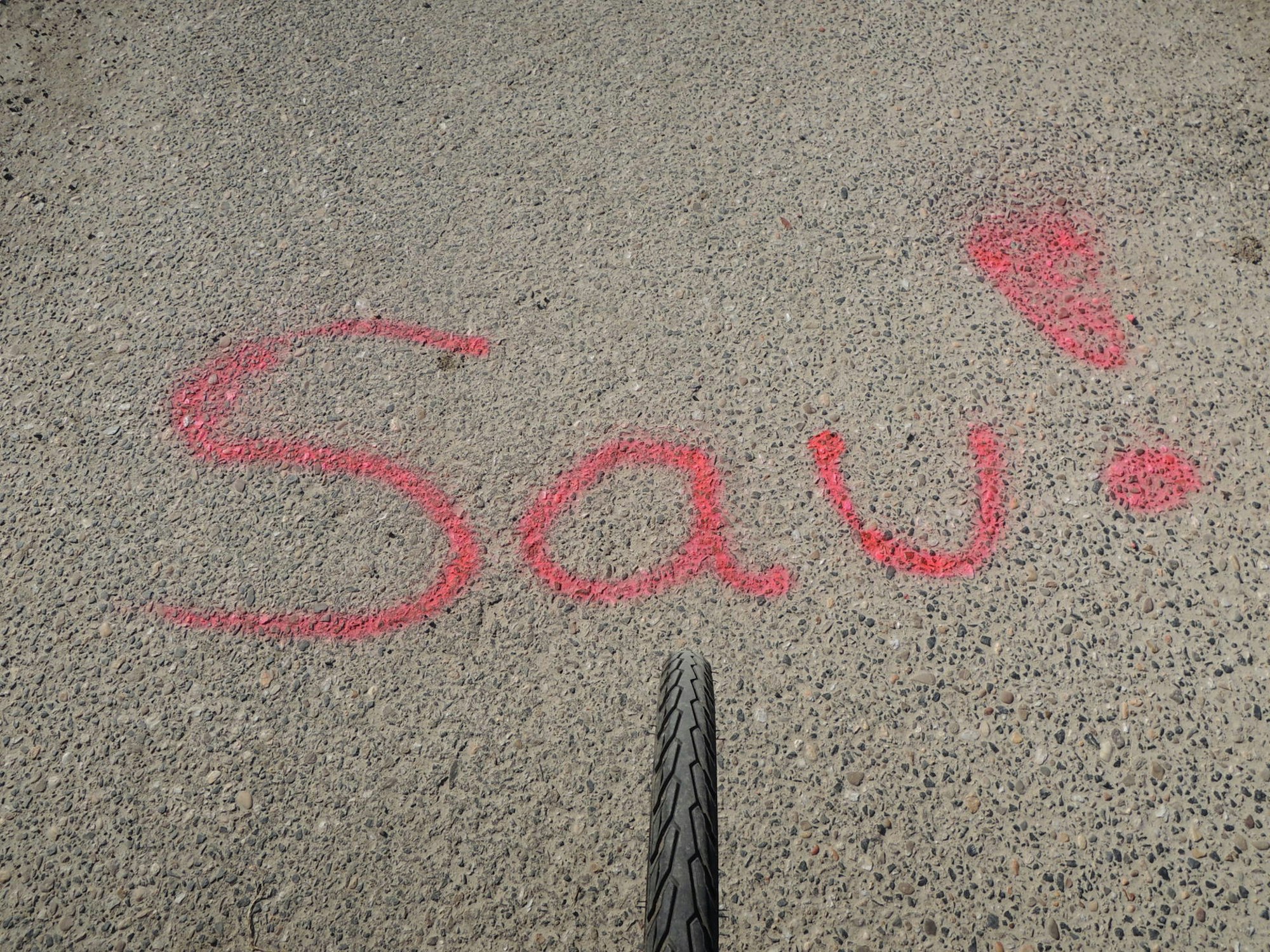 20220304-ker-rj-farbige-hundehaufen-03