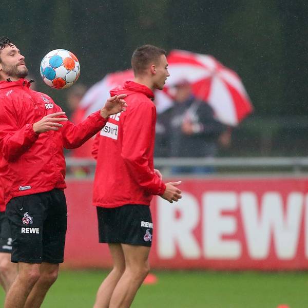 Hector Training Bucco