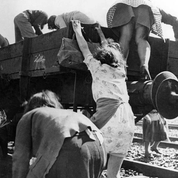 Fringsen
