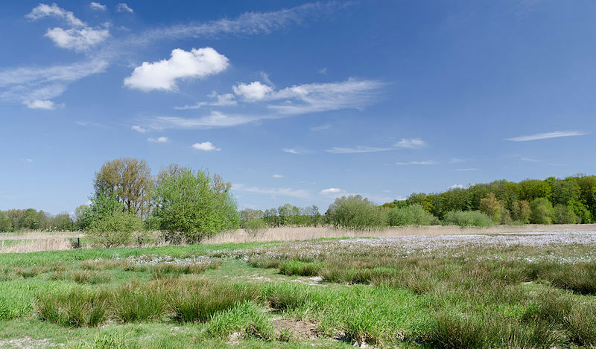 Schwalmtal-Landschaft-Fruehjahr-2013 Wiki 3.0 Tuxyso