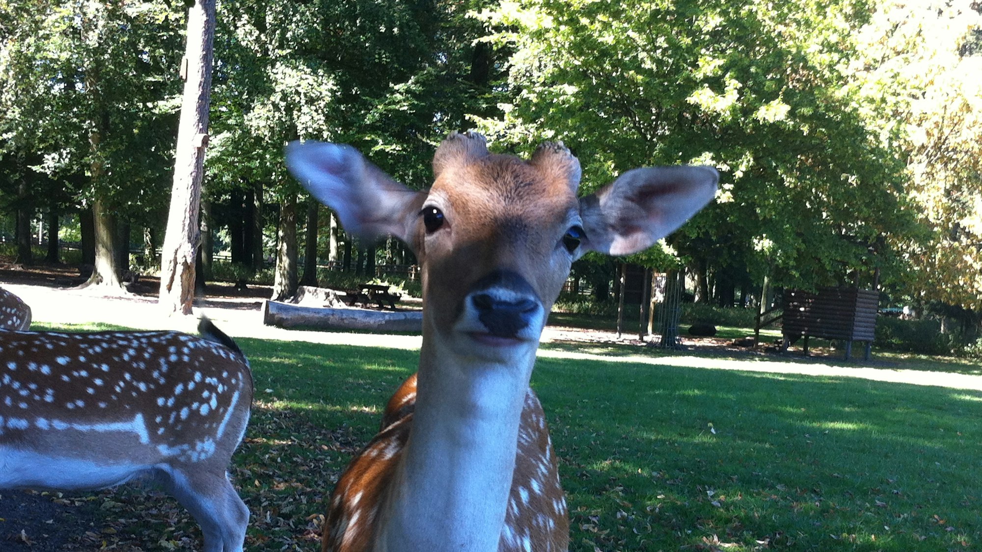 Tierpark Lindenthal
