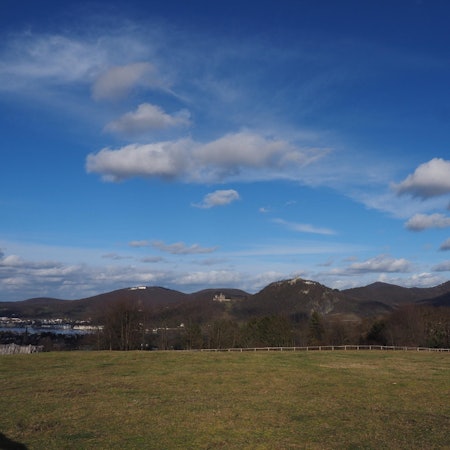 84-Rodderberg 2LieblingsplatzSiebengebirge