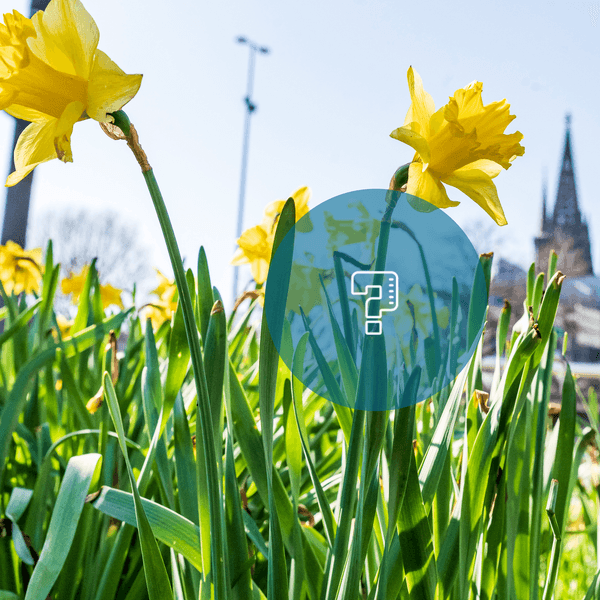 Quiz-Koeln-Ostern