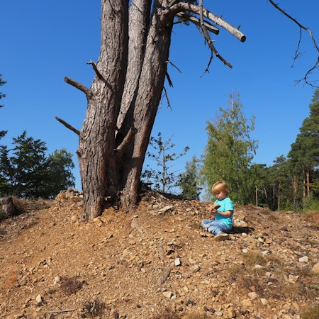 SVL24245GeoExk_Eifel3_Wanderung10