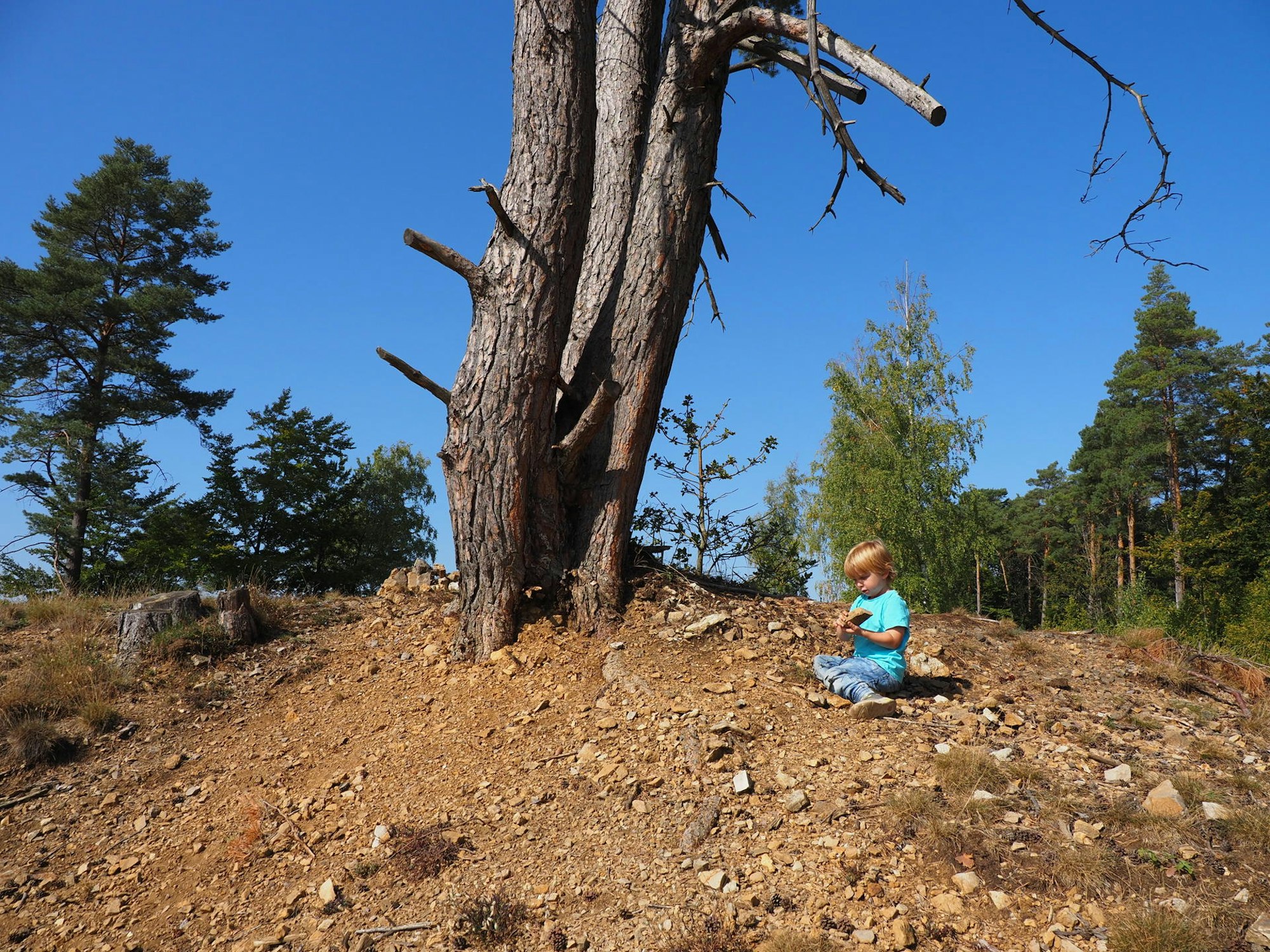 SVL24245GeoExk_Eifel3_Wanderung10