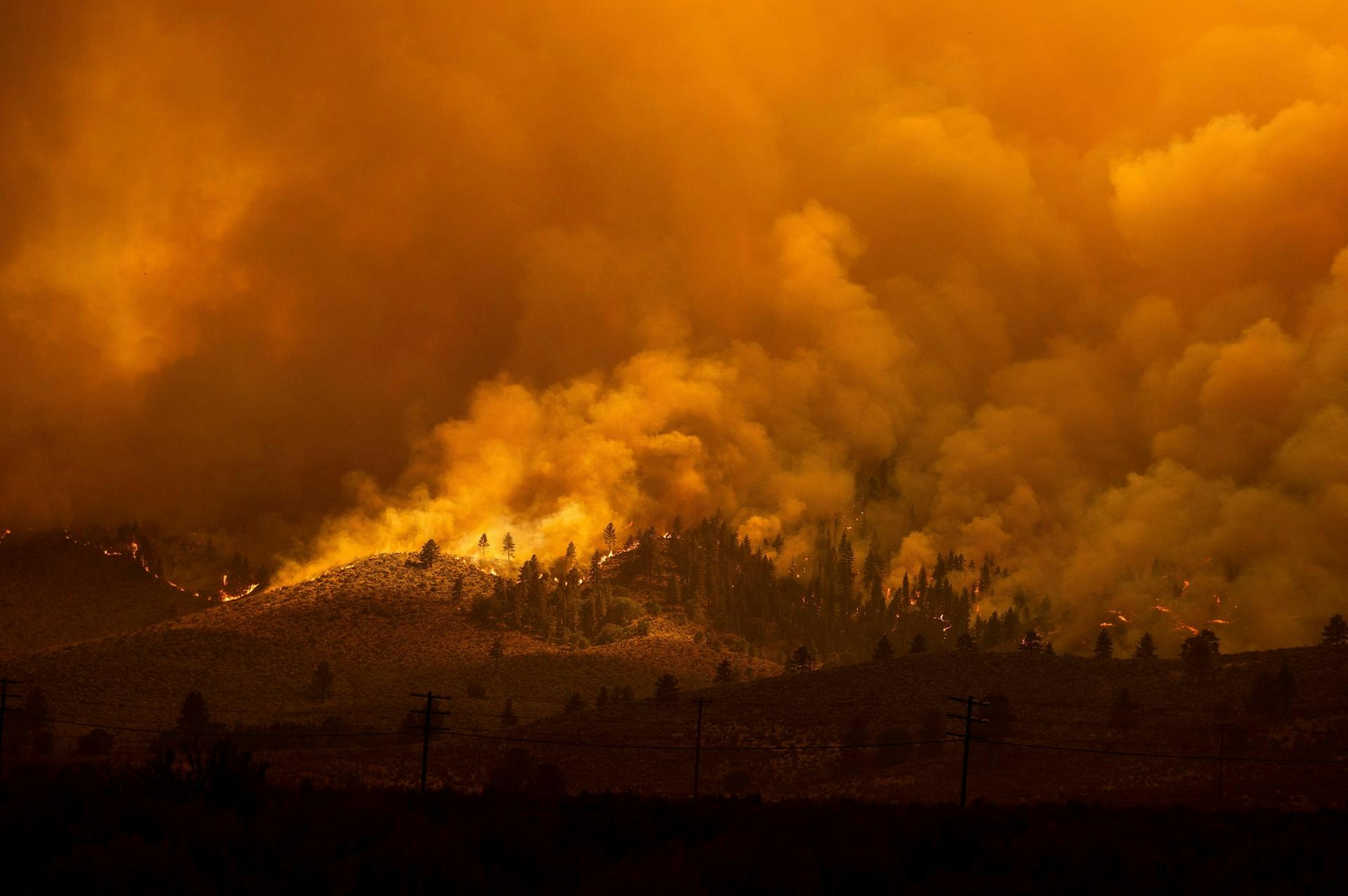 Waldbrand Kalifornien_1