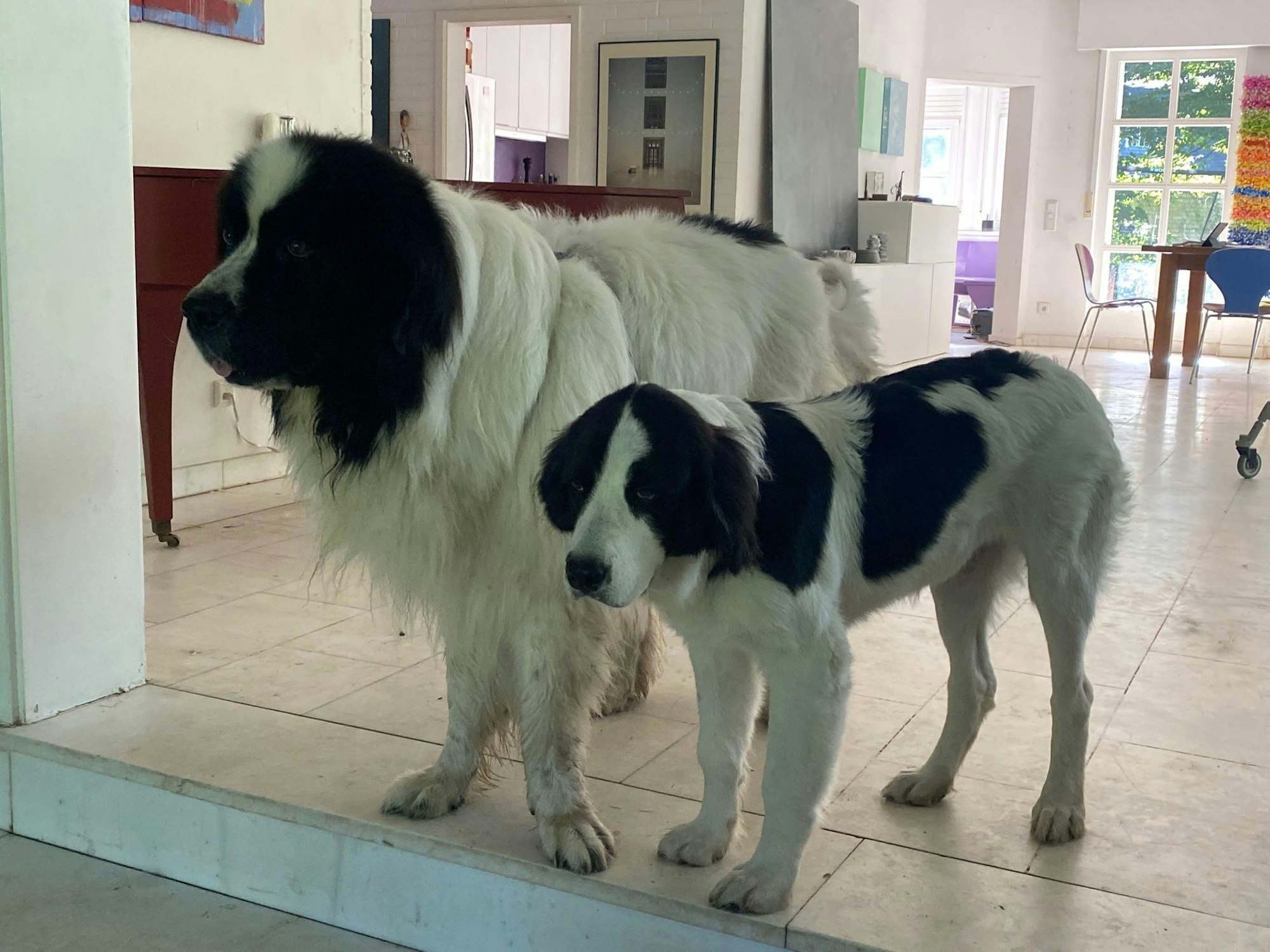 KS_HW_So wohnt_Bismarck und Elou