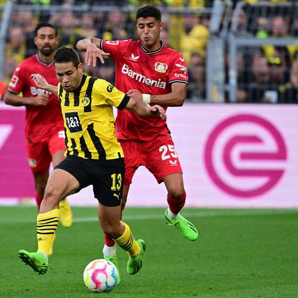 Palacios BVB