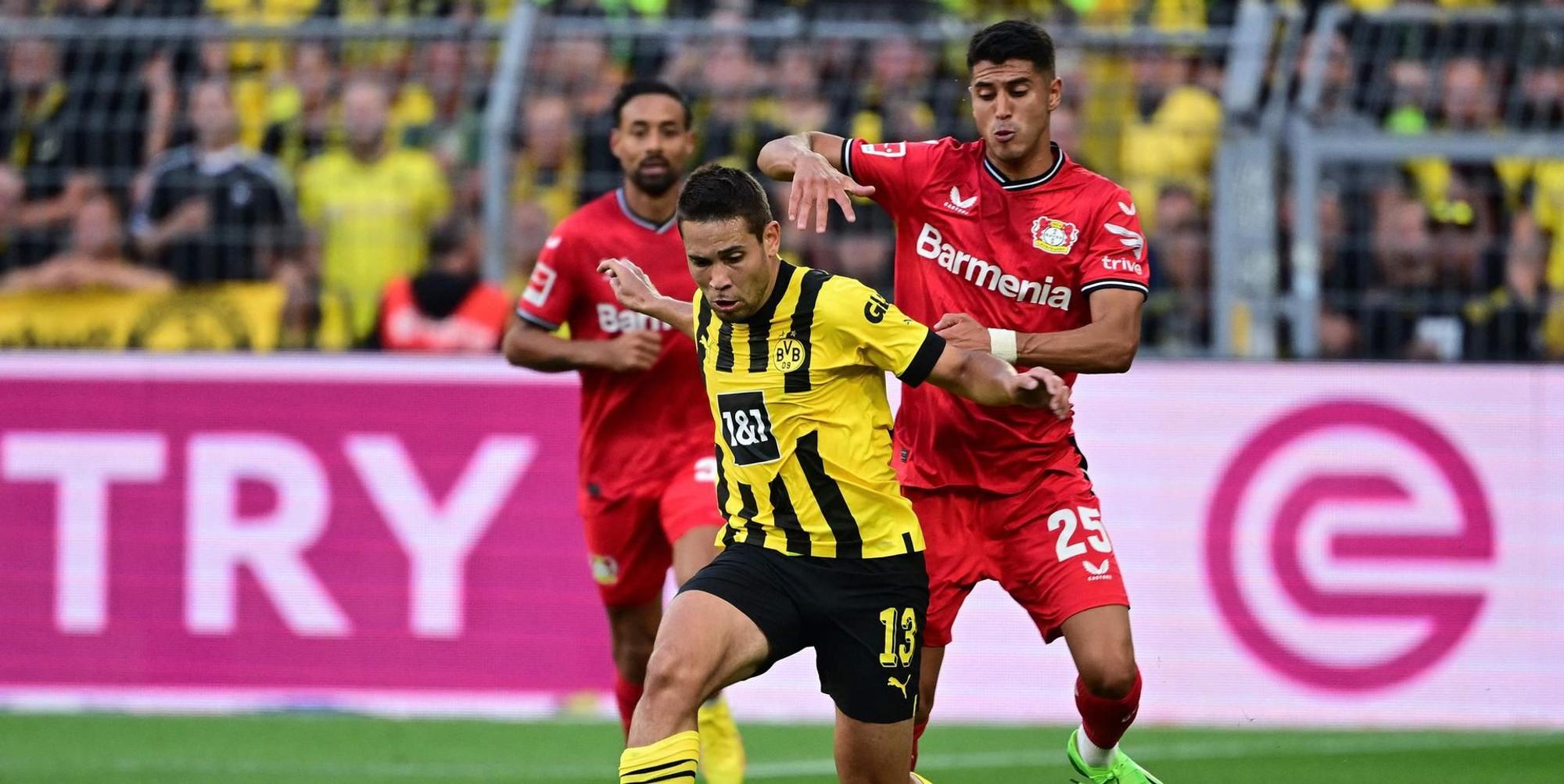 Palacios BVB