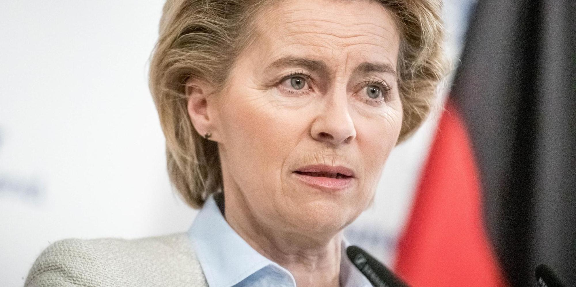 Ursula von der Leyen Berateraffäre
