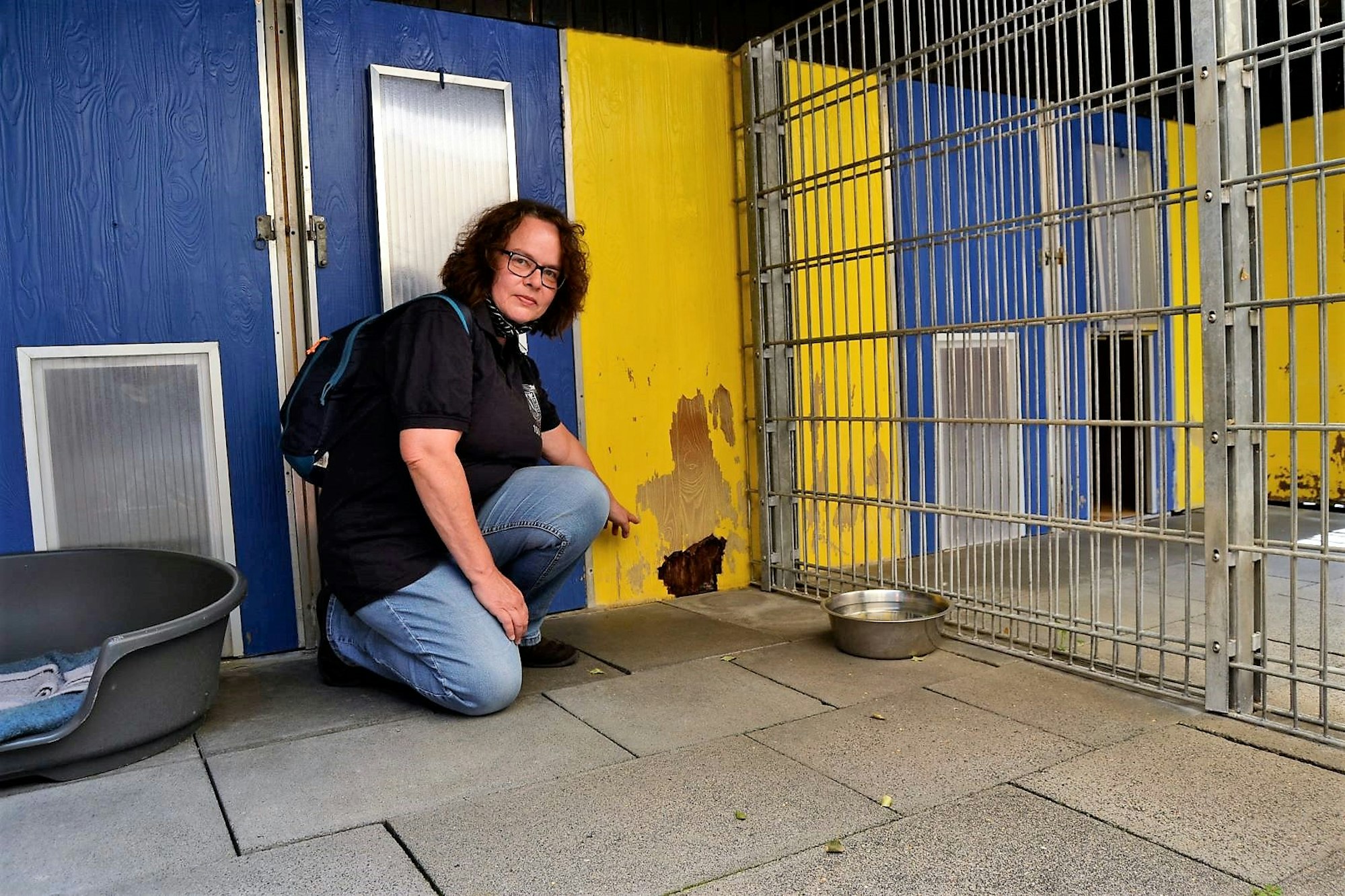 Zollstock_Tierheim_5