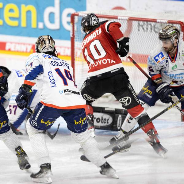 Haie gegen Iserlohn