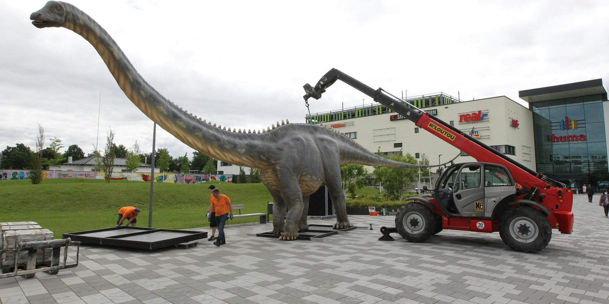 Dinoschau_Huma2