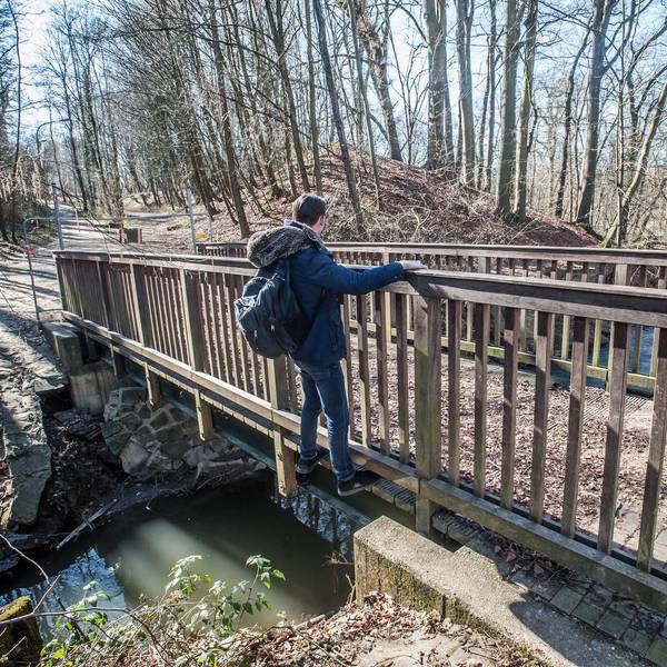 Wiembach-Brücken_rar_rle_03102022ALF_2250