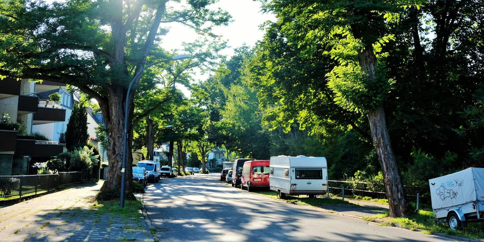SeniorenetzwerkKlettenberg8