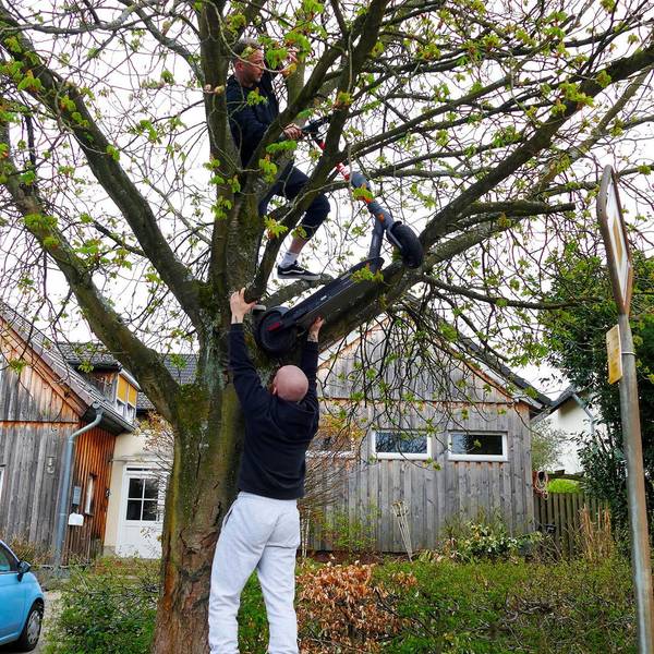 E-Roller_Lohmar_Baum