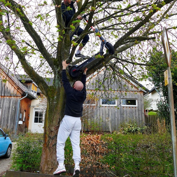 E-Roller_Lohmar_Baum